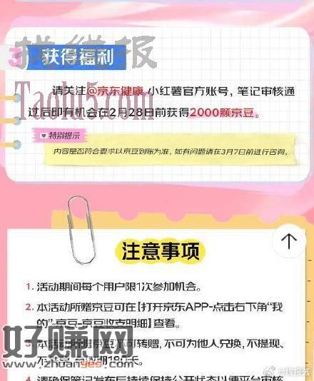 狗东2000豆，自测