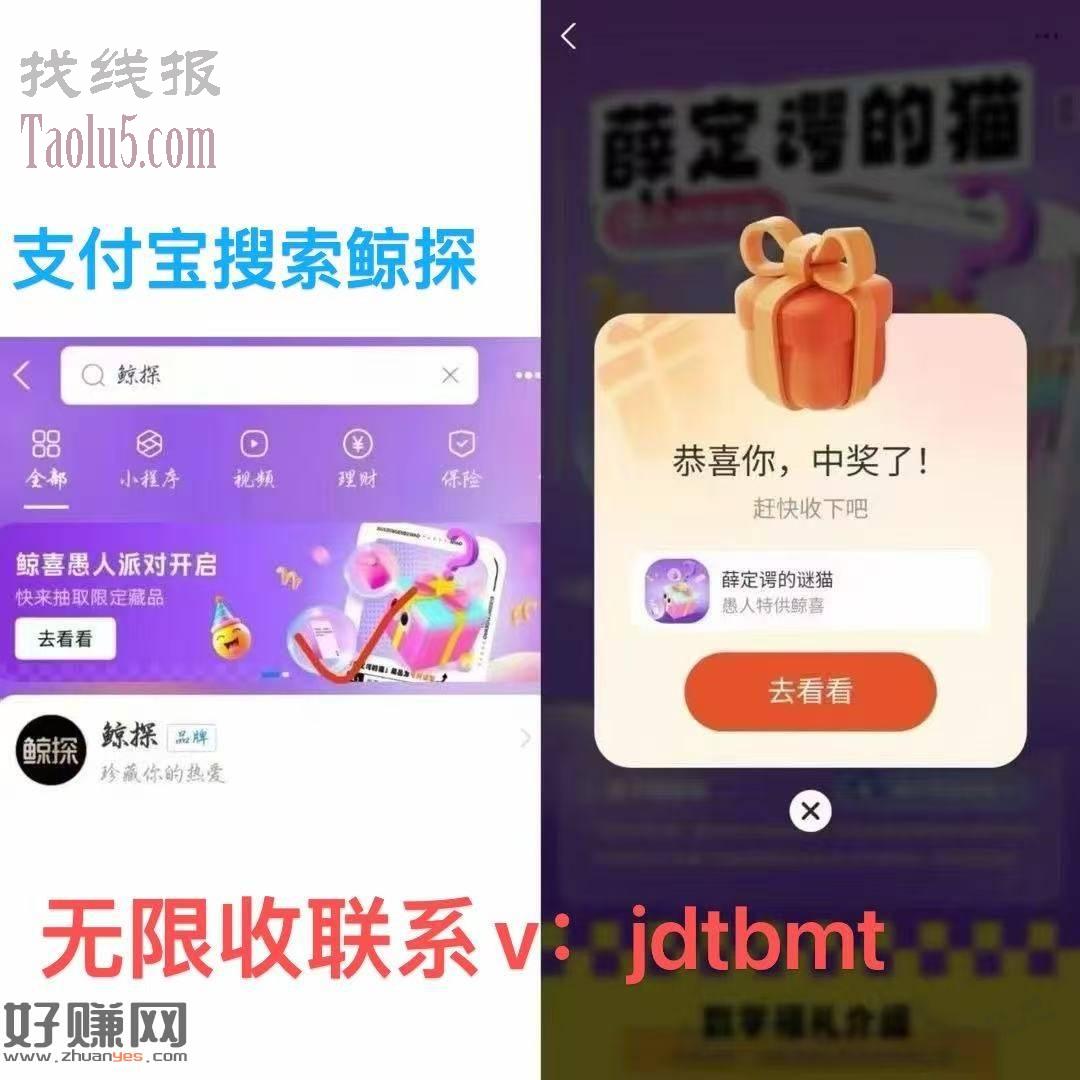 zfb 大毛速度冲 白嫖