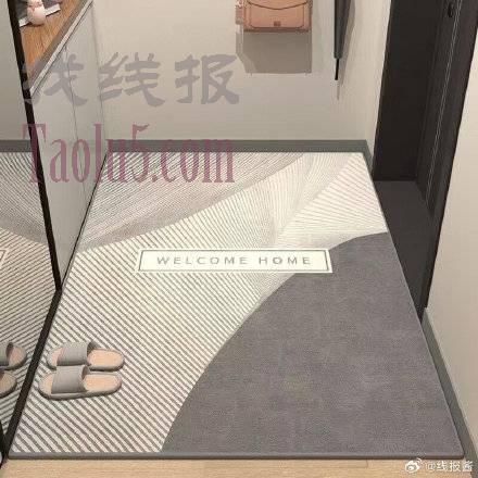 2.6亓 ，入户门地垫40*60CM