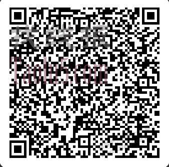 拖把2.9拖把 两布