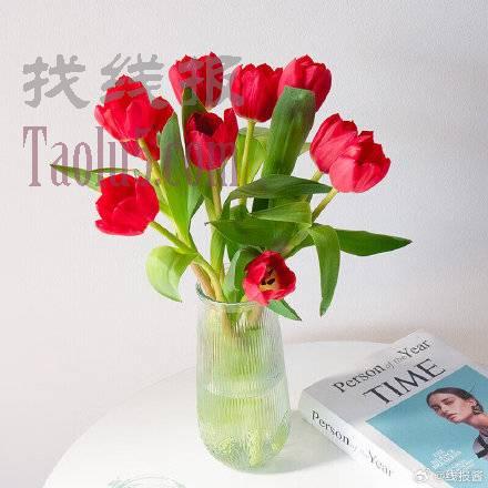 9.9，鲜花进口郁金香鲜花10支