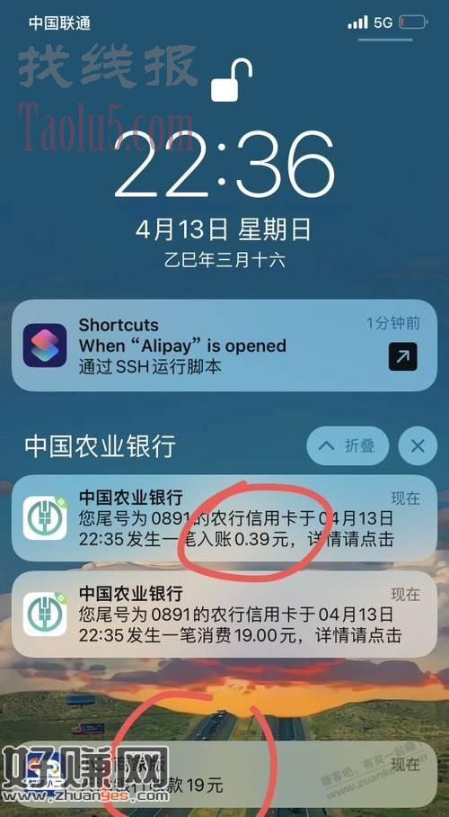 农行app搜“天天返现”每天返一直到月底