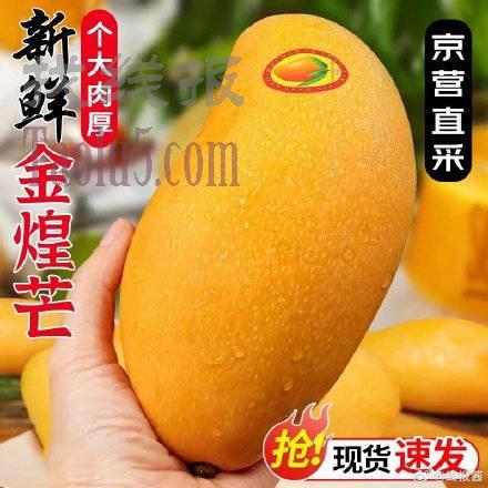 16-5 ，13.9，源头直采 三亚金煌芒果净4.5斤