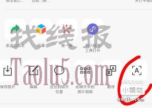 《伊利》小调研，有加过客服的看看，看看有没有推送，有的话截图