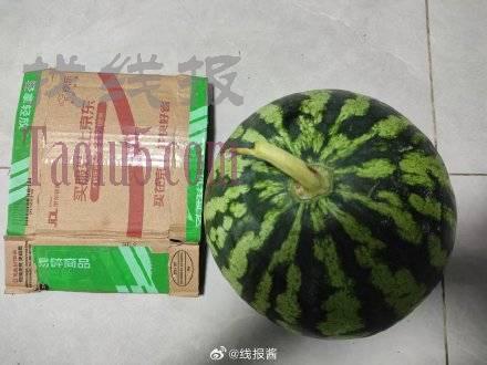 农补的西瓜番茄樱桃，反馈还可以，现在非常难抢了