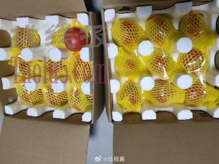 农补的西瓜番茄樱桃，反馈还可以，现在非常难抢了