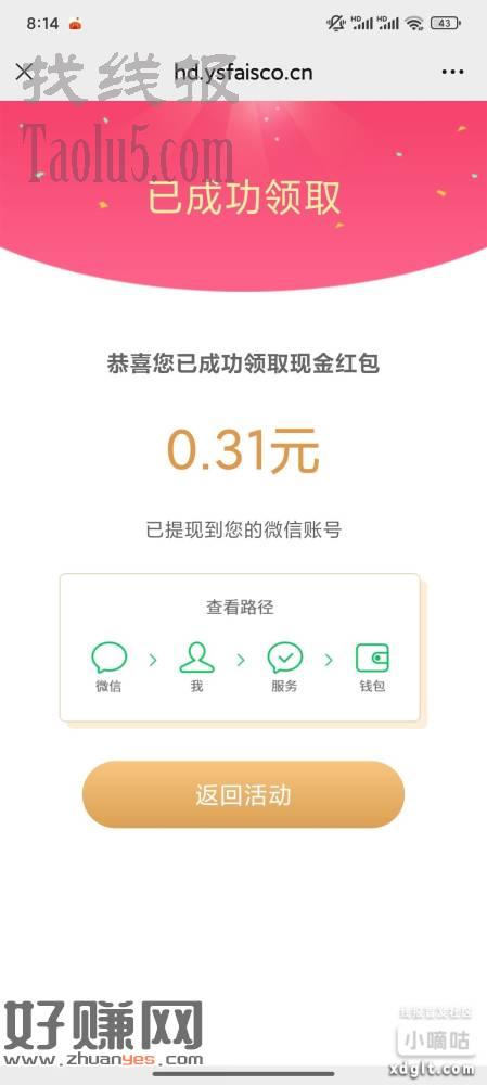 答题全对