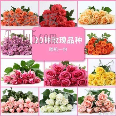19.9，京东鲜花 玫瑰花颜色随机20枝