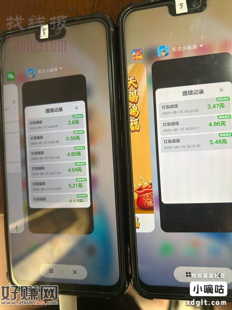 各大应用商店  搜索 天才小曲库