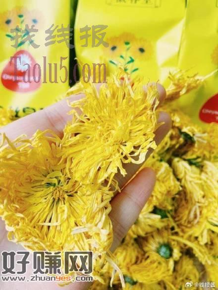5.9亓，降火喝， ，徽春堂金丝皇菊约50朵